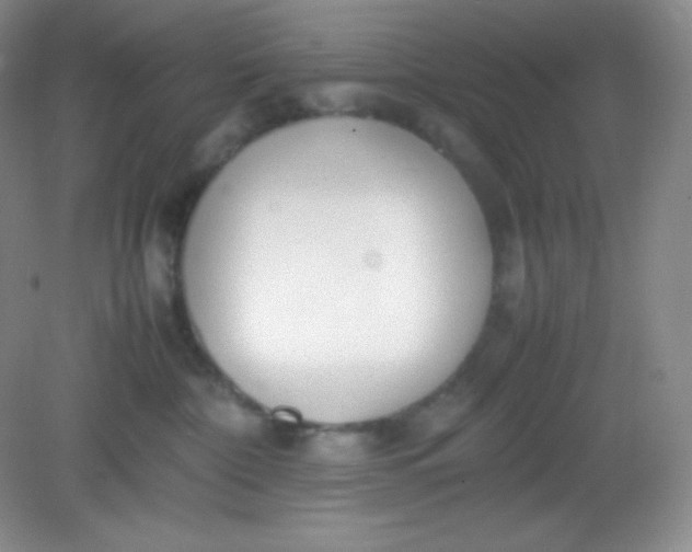 X0000082150332200702021641