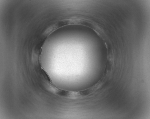 X0000082150333200702021641