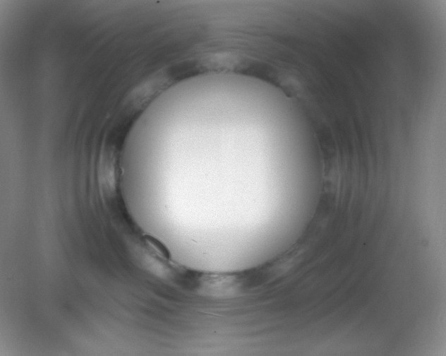 X0000082150334200702021641