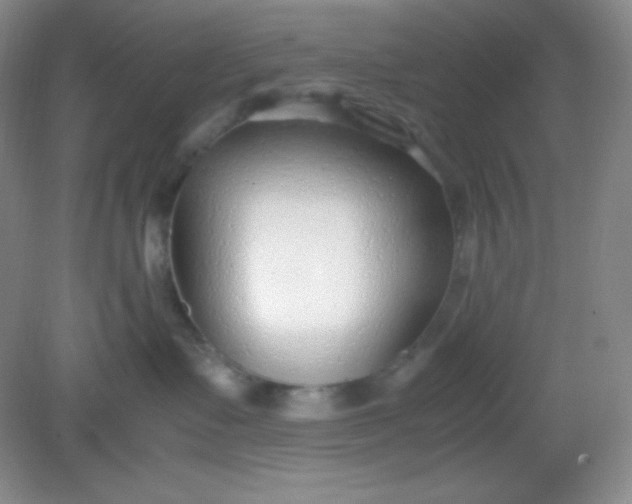 X0000082150335200702021641