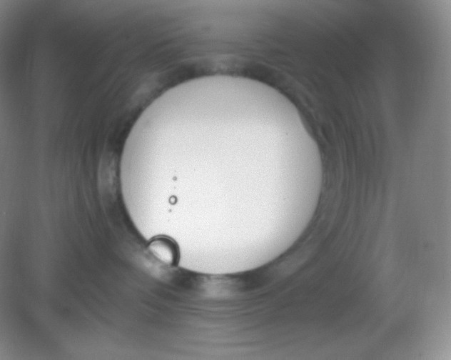 X0000082150336200702021641