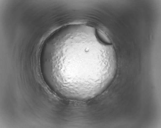 X0000082150337200702021640