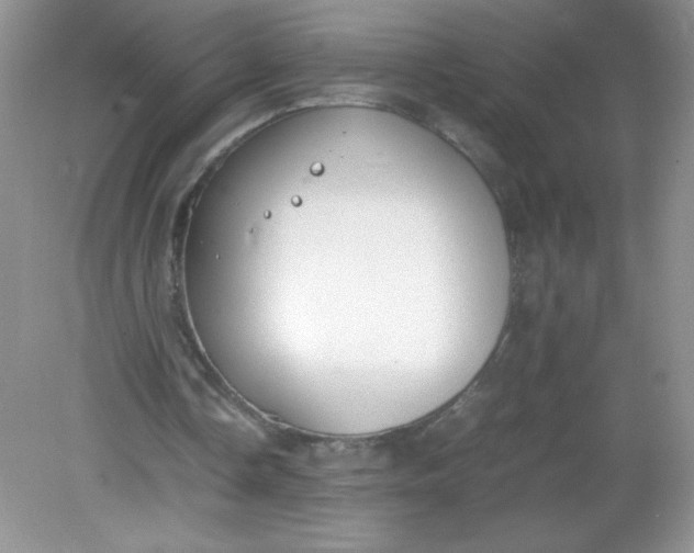 X0000082150338200702021640