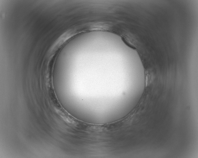 X0000082150339200702021640