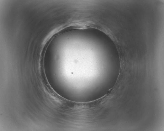 X0000082150340200702021640