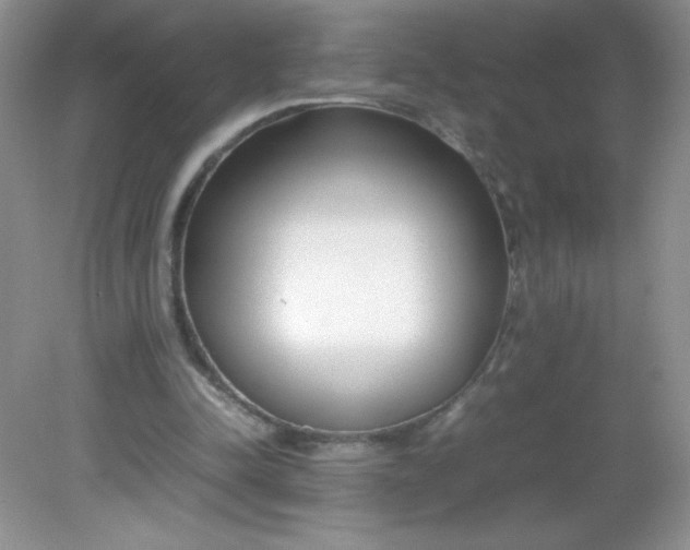 X0000082150342200702021641