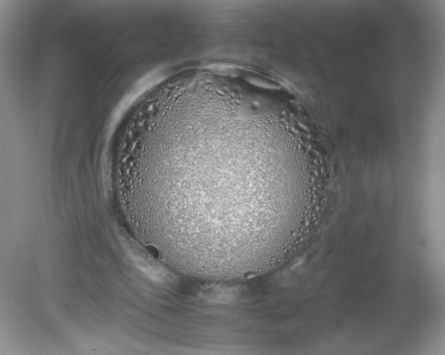 X0000082150343200702021641