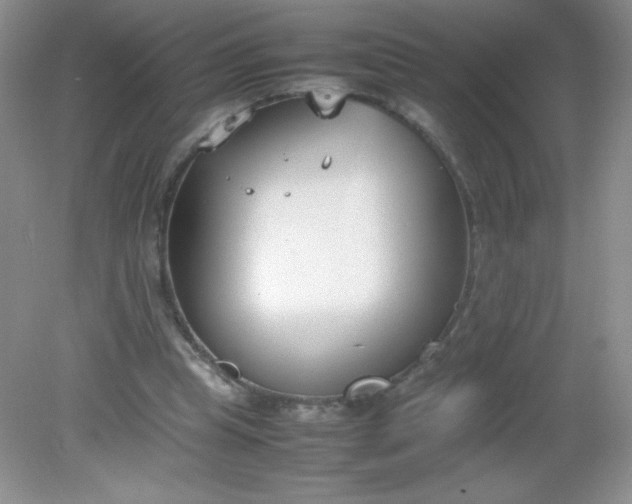 X0000082150345200702021641