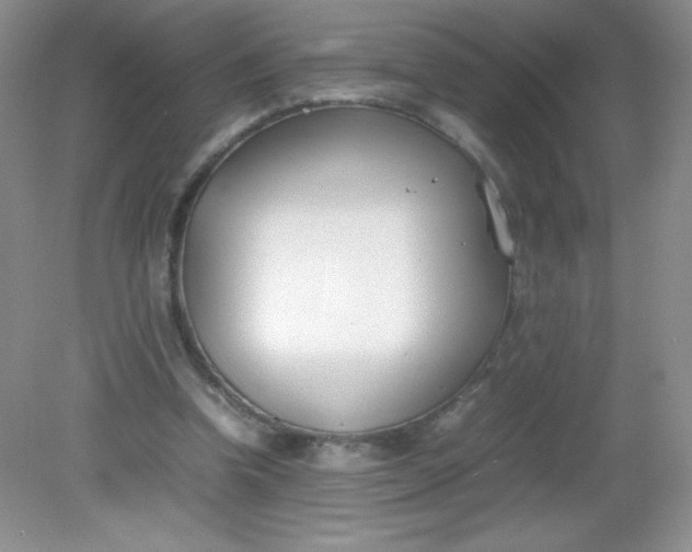 X0000082150346200702021641