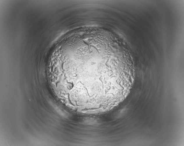 X0000082150347200702021641