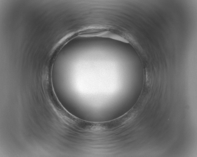 X0000082150348200702021641