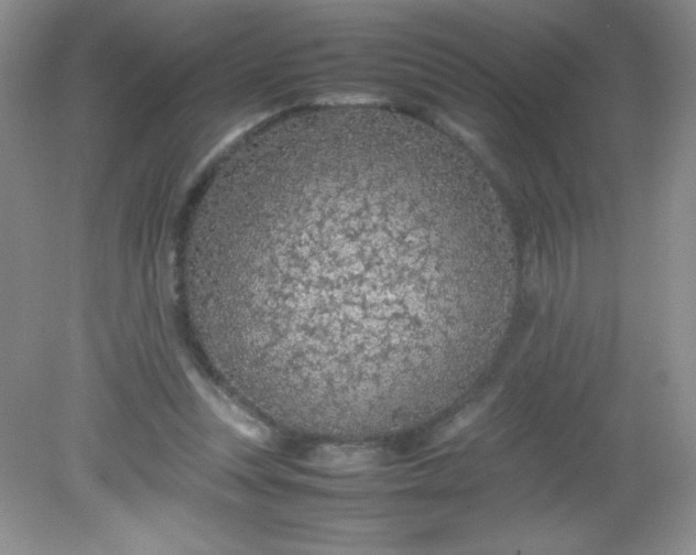 X0000082150351200702021641