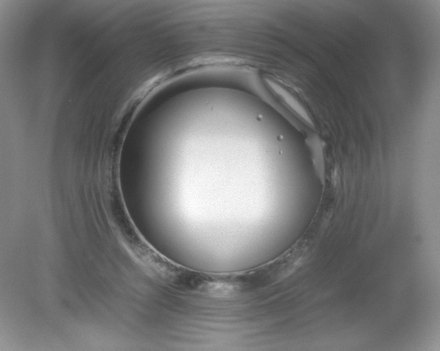 X0000082150352200702021641