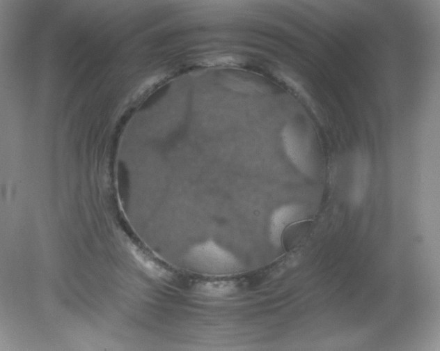 X0000082150353200702021641