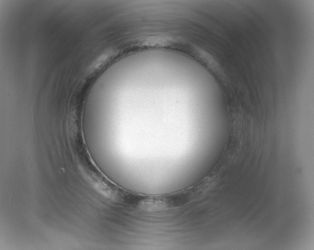 X0000082150354200702021641