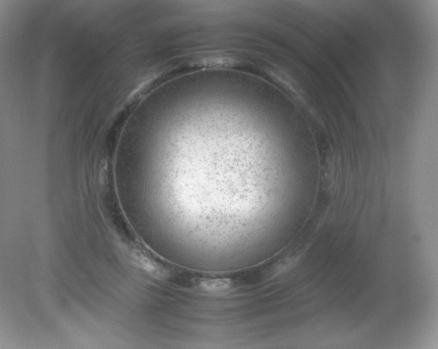 X0000082150355200702021641