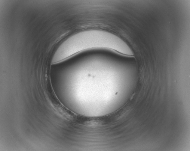 X0000082150356200702021641