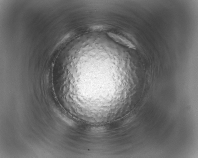 X0000082150357200702021641