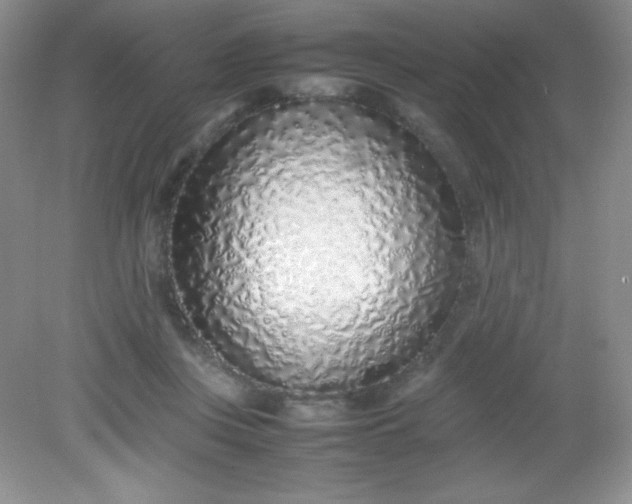 X0000082150359200702021641