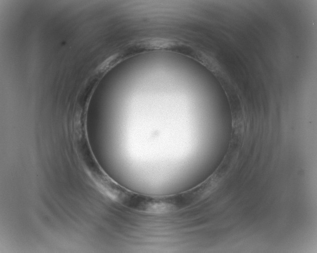 X0000082150360200702021641