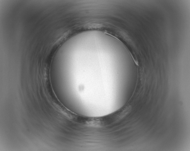 X0000082150362200702021641