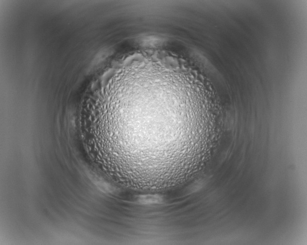 X0000082150363200702021641