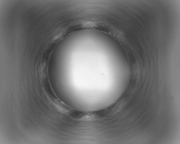 X0000082150364200702021641