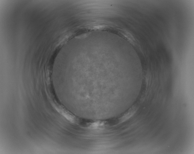 X0000082150366200702021641