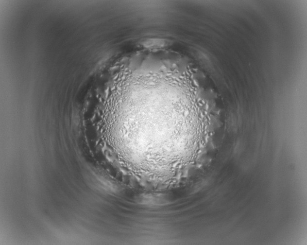 X0000082150367200702021641