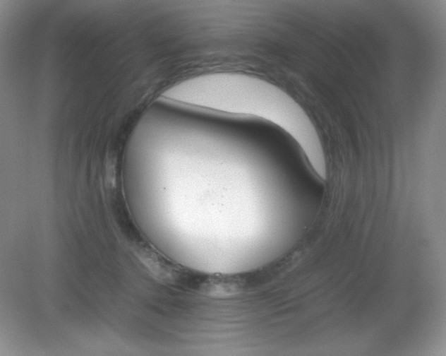 X0000082150368200702021641