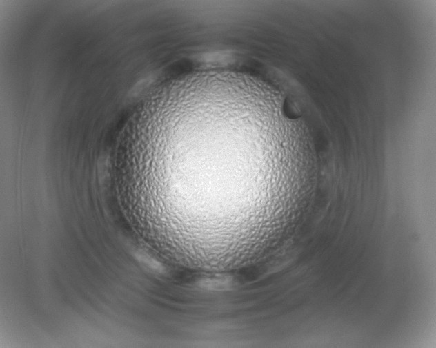 X0000082150369200702021641