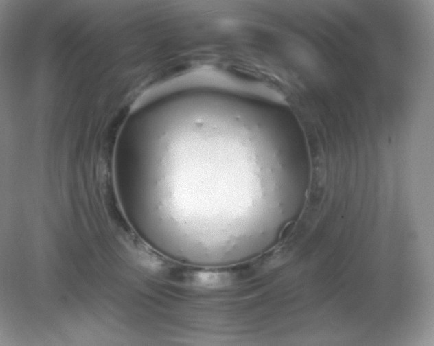 X0000082150371200702021641