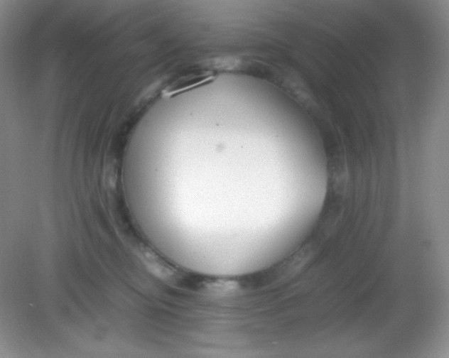 X0000082150374200702021641