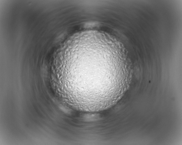 X0000082150375200702021641