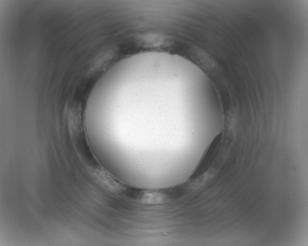 X0000082150376200702021641