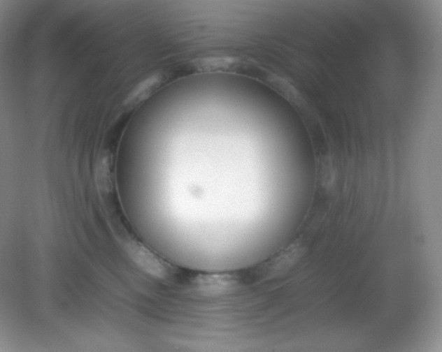 X0000082150378200702021641