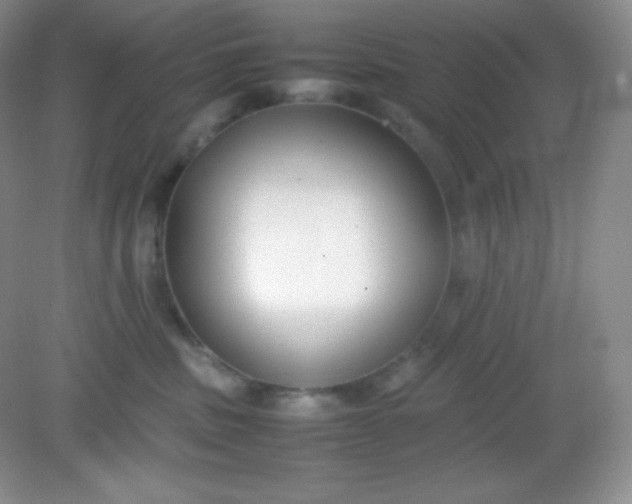 X0000082150379200702021641