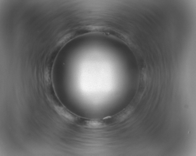 X0000082150380200702021641