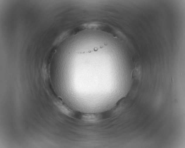 X0000082150381200702021641