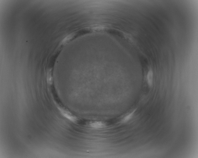 X0000082150383200702021641