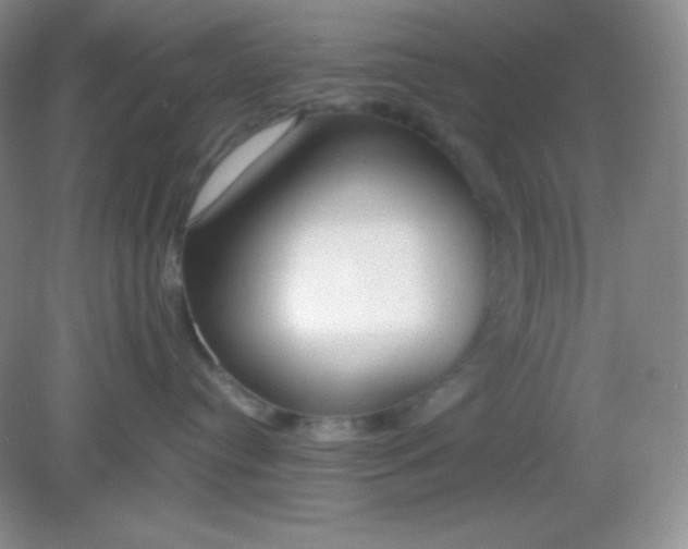 X0000082150384200702021641