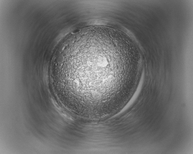 X0000082150386200702021640