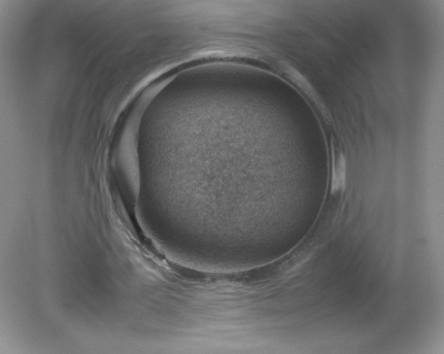 X0000082150387200702021640