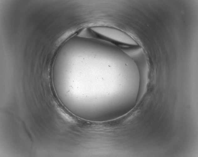 X0000082150389200702021640