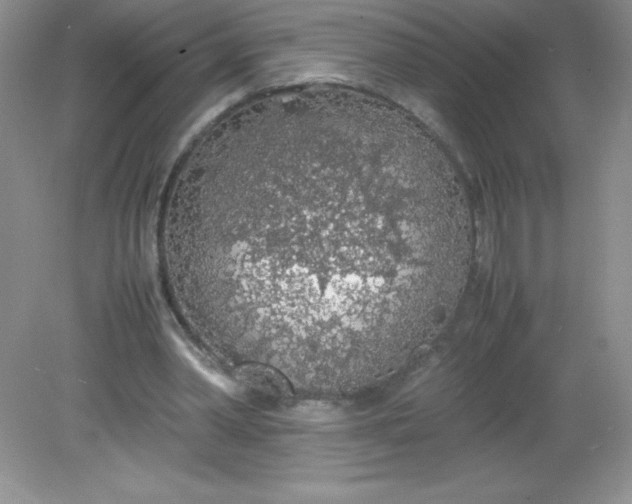 X0000082150390200702021640