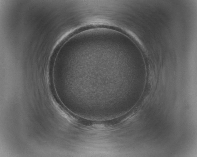 X0000082150391200702021640