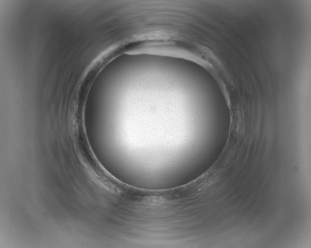 X0000082150392200702021640