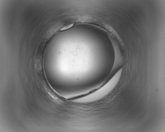 X0000082150393200702021640