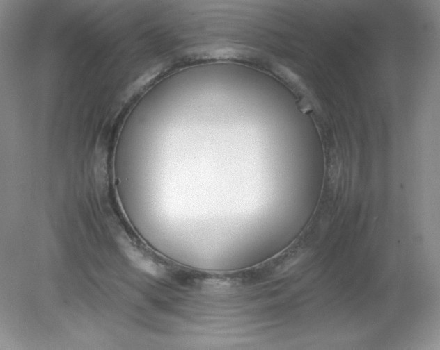 X0000082150394200702021640