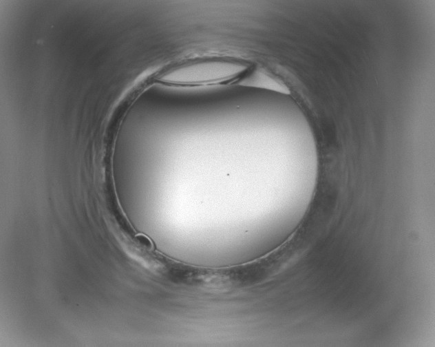 X0000082150395200702021640